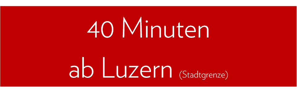 40 Minuten Luzern